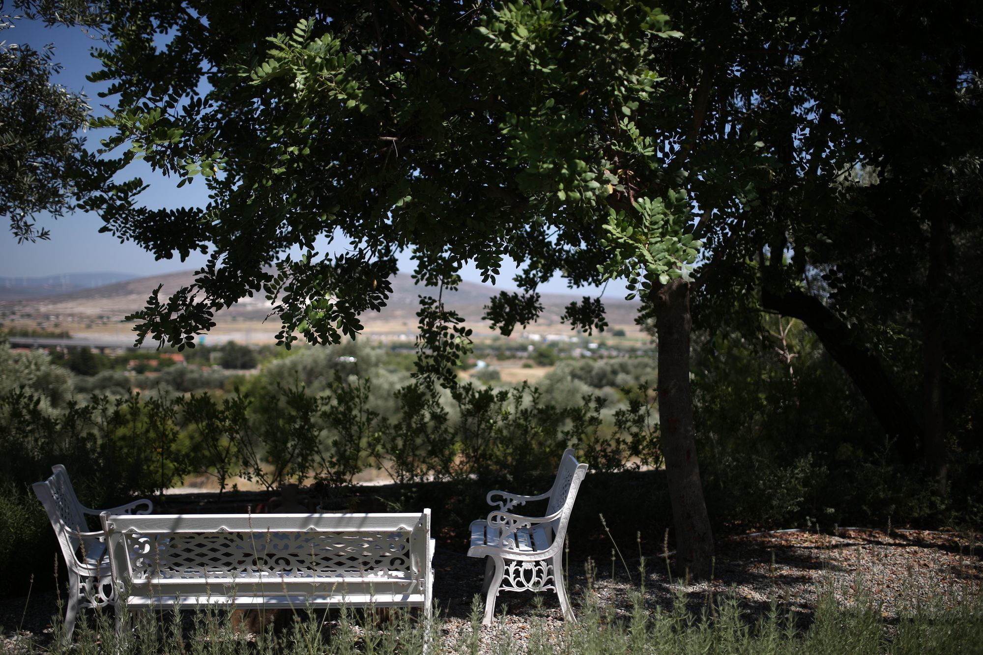 Villa Taraca Alacati Romantik Otel (Adults Only) Exterior foto